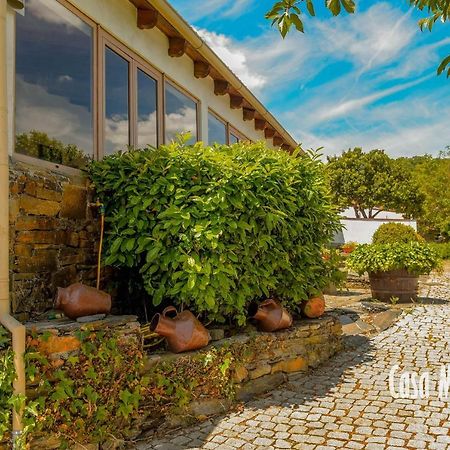Casa Machado Vendégház Bragança Kültér fotó