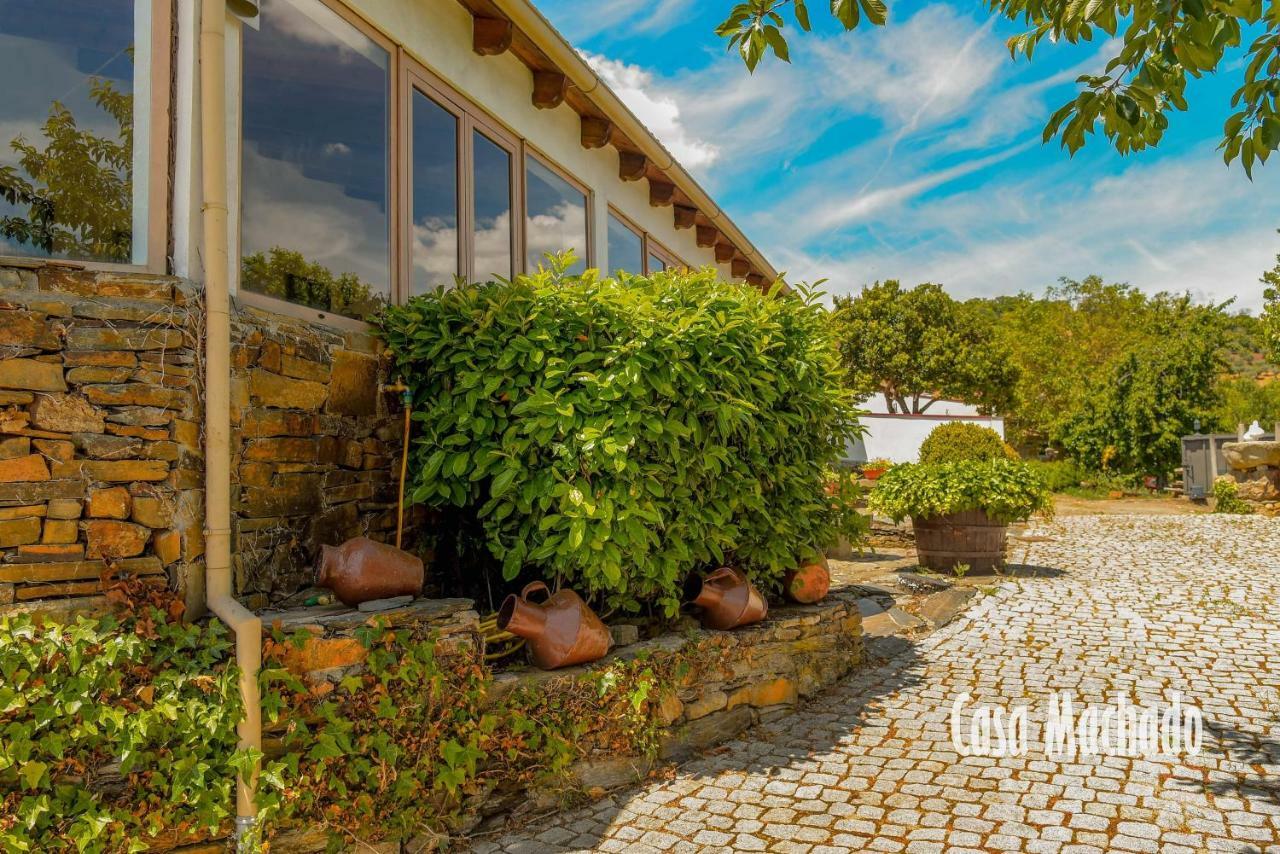 Casa Machado Vendégház Bragança Kültér fotó