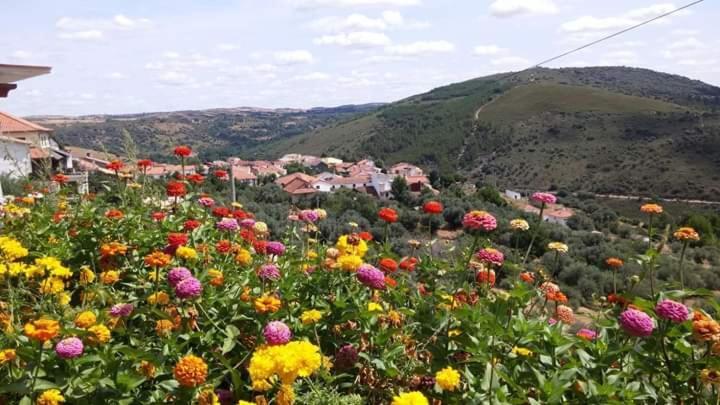 Casa Machado Vendégház Bragança Kültér fotó