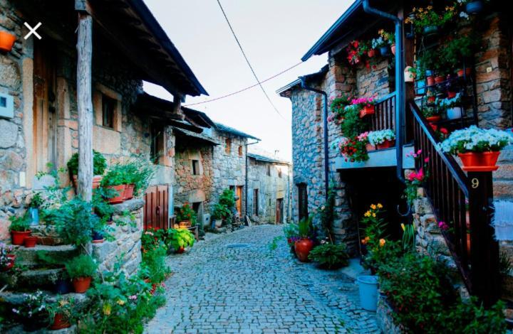 Casa Machado Vendégház Bragança Kültér fotó