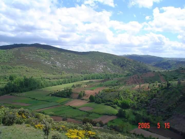 Casa Machado Vendégház Bragança Kültér fotó